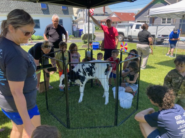 Dairy Day